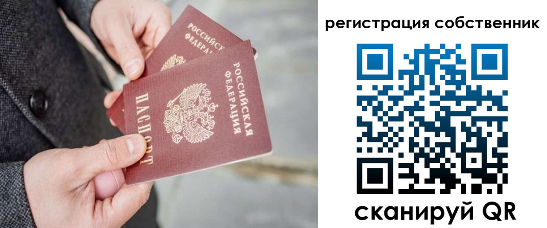 временная регистрация гарантия в Луге